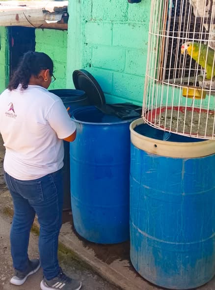 Entrega de abate para prevención de dengue